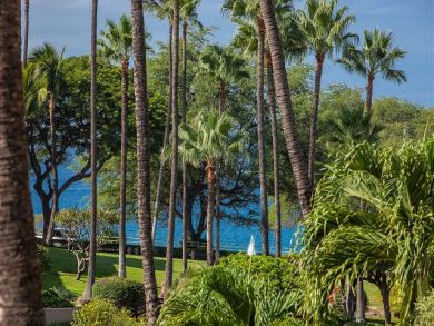 Wailea Condo 896017 Wailea Condo 896017